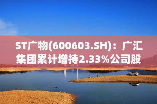 ST广物(600603.SH)：广汇集团累计增持2.33%公司股份