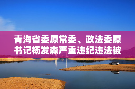 青海省委原常委、政法委原书记杨发森严重违纪违法被“双开”