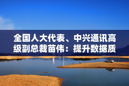 全国人大代表、中兴通讯高级副总裁苗伟：提升数据质量 完善数据市场制度建设