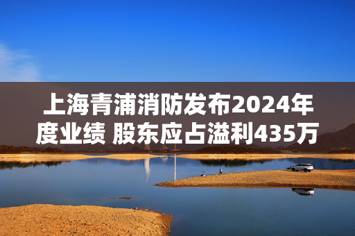 上海青浦消防发布2024年度业绩 股东应占溢利435万元同比减少48.95%