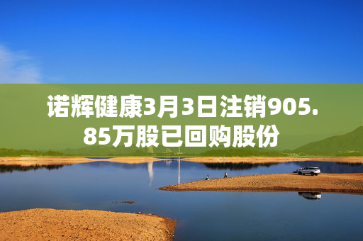 诺辉健康3月3日注销905.85万股已回购股份