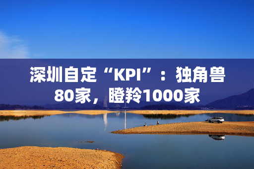 深圳自定“KPI”：独角兽80家，瞪羚1000家