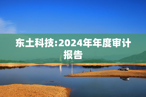 东土科技:2024年年度审计报告