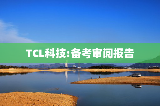 TCL科技:备考审阅报告