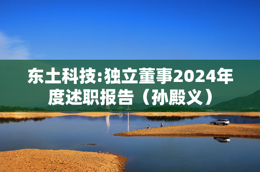 东土科技:独立董事2024年度述职报告（孙殿义）