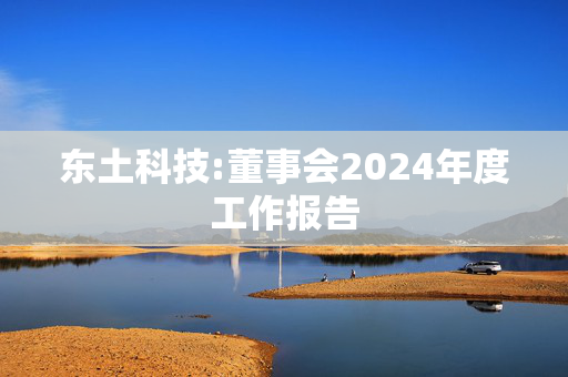 东土科技:董事会2024年度工作报告