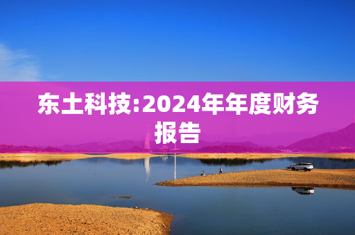 东土科技:2024年年度财务报告