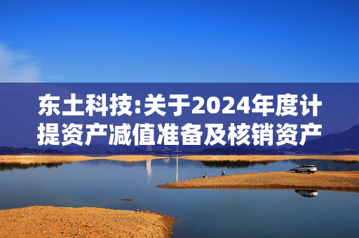 东土科技:关于2024年度计提资产减值准备及核销资产的公告