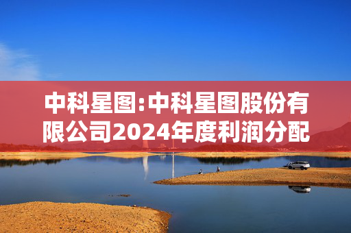 中科星图:中科星图股份有限公司2024年度利润分配及资本公积转增股本方案的公告