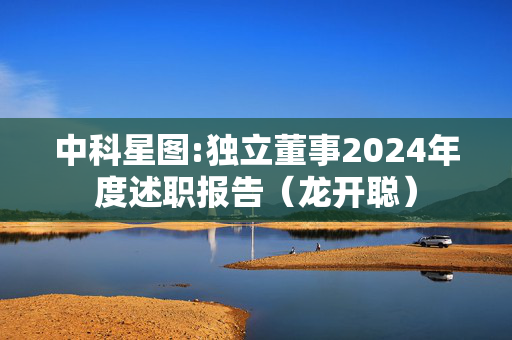 中科星图:独立董事2024年度述职报告（龙开聪）