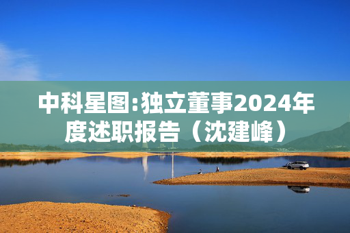 中科星图:独立董事2024年度述职报告（沈建峰）