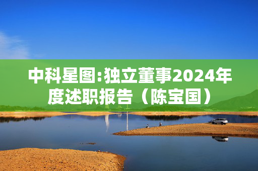 中科星图:独立董事2024年度述职报告（陈宝国）