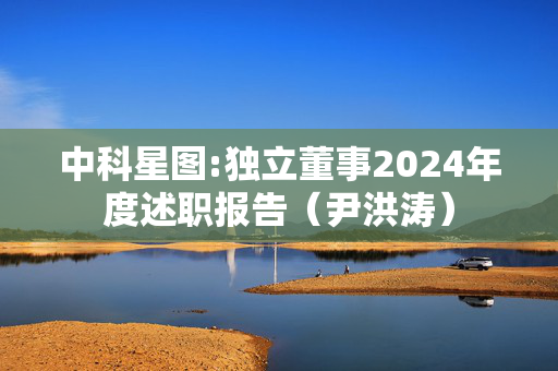 中科星图:独立董事2024年度述职报告（尹洪涛）