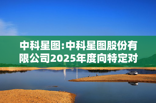 中科星图:中科星图股份有限公司2025年度向特定对象发行A股股票方案的论证分析报告