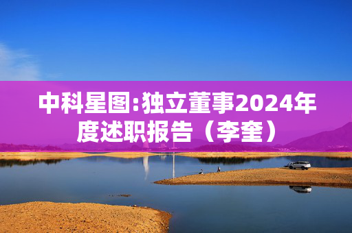 中科星图:独立董事2024年度述职报告（李奎）