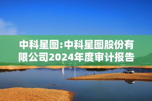 中科星图:中科星图股份有限公司2024年度审计报告及财务报表