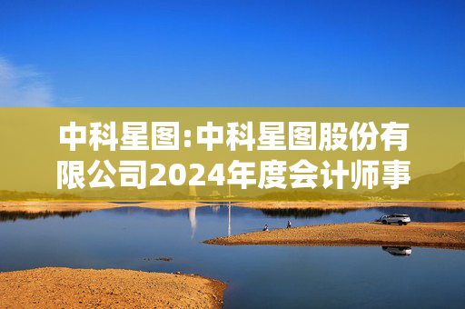 中科星图:中科星图股份有限公司2024年度会计师事务所履职情况的评估报告