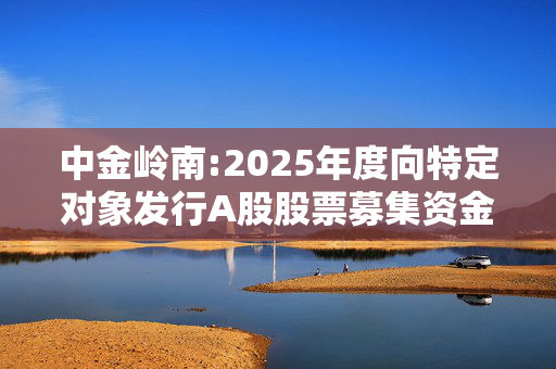 中金岭南:2025年度向特定对象发行A股股票募集资金使用可行性分析报告