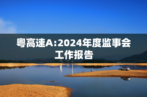 粤高速A:2024年度监事会工作报告