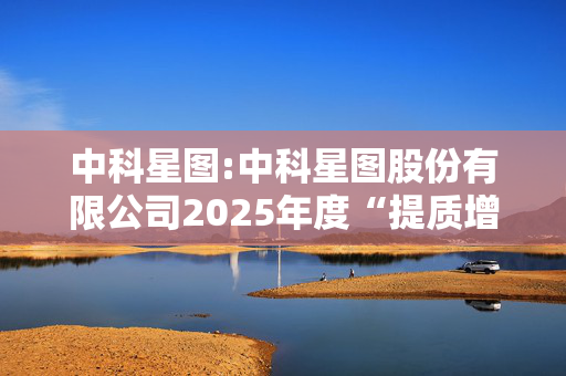 中科星图:中科星图股份有限公司2025年度“提质增效重回报”行动方案