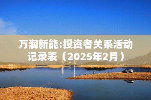 万润新能:投资者关系活动记录表（2025年2月）