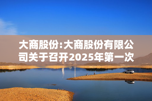 大商股份:大商股份有限公司关于召开2025年第一次临时股东大会的通知