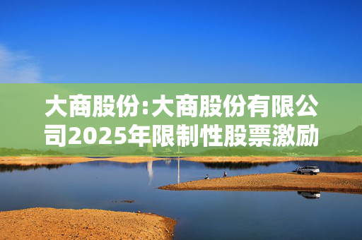 大商股份:大商股份有限公司2025年限制性股票激励计划实施考核管理办法