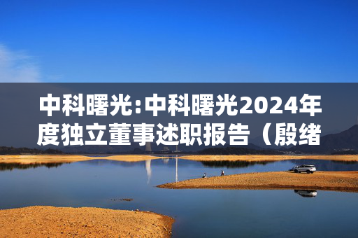 中科曙光:中科曙光2024年度独立董事述职报告（殷绪成）