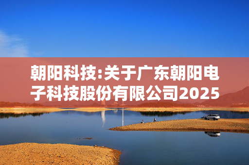 朝阳科技:关于广东朝阳电子科技股份有限公司2025年第一次临时股东大会的法律意见书