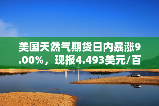 美国天然气期货日内暴涨9.00%，现报4.493美元/百万英热