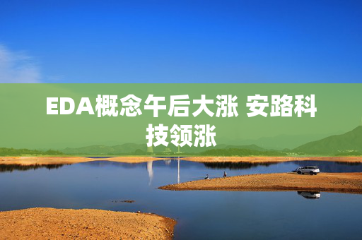 EDA概念午后大涨 安路科技领涨