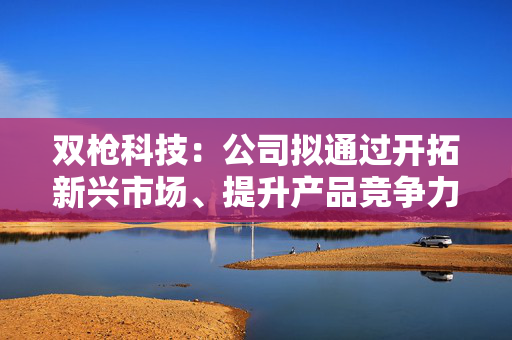 双枪科技：公司拟通过开拓新兴市场、提升产品竞争力和议价能力