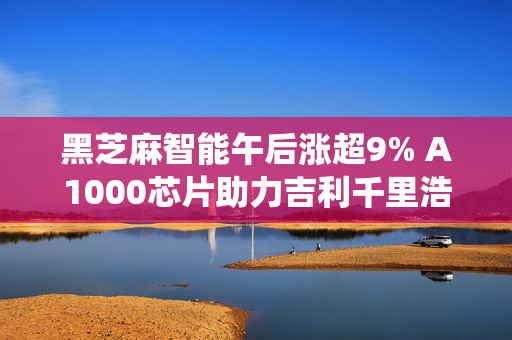 黑芝麻智能午后涨超9% A1000芯片助力吉利千里浩瀚智驾系统