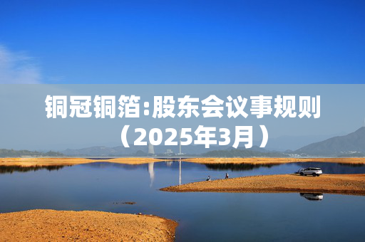 铜冠铜箔:股东会议事规则（2025年3月）