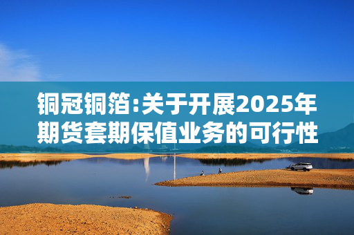 铜冠铜箔:关于开展2025年期货套期保值业务的可行性分析报告