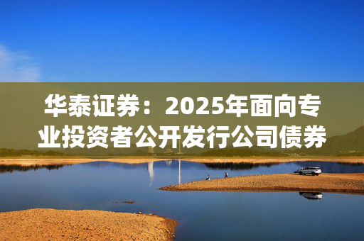 华泰证券：2025年面向专业投资者公开发行公司债券(第三期)