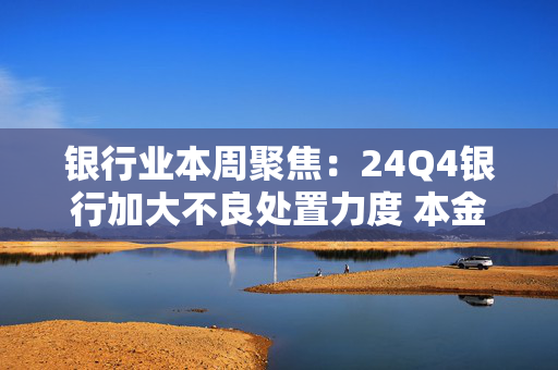 银行业本周聚焦：24Q4银行加大不良处置力度 本金回收率有所降低