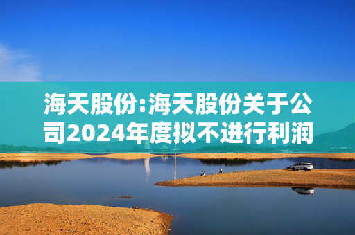 海天股份:海天股份关于公司2024年度拟不进行利润分配的公告