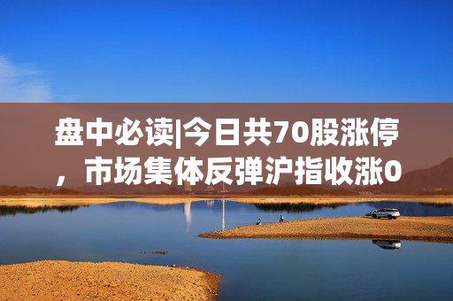 盘中必读|今日共70股涨停，市场集体反弹沪指收涨0.53%，机器人、工程机械概念大涨