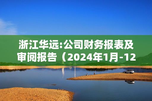 浙江华远:公司财务报表及审阅报告（2024年1月-12月）