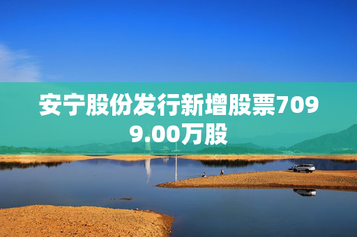 安宁股份发行新增股票7099.00万股