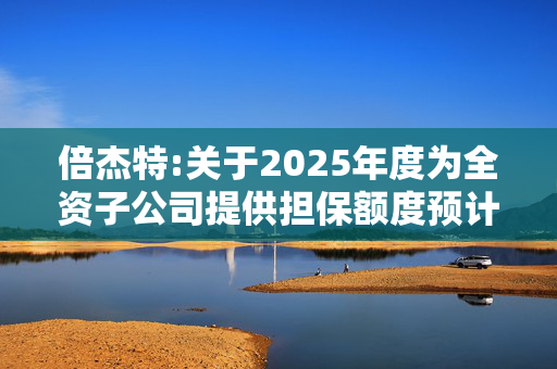 倍杰特:关于2025年度为全资子公司提供担保额度预计的公告