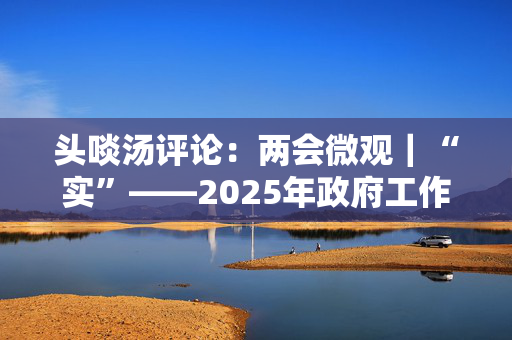 头啖汤评论：两会微观｜“实”——2025年政府工作报告中最温暖的字