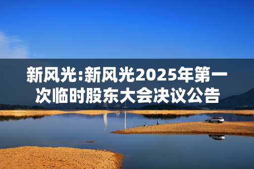 新风光:新风光2025年第一次临时股东大会决议公告