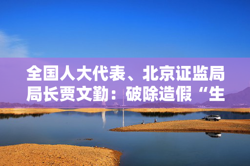 全国人大代表、北京证监局局长贾文勤：破除造假“生态圈” 完善特别代表人诉讼制度