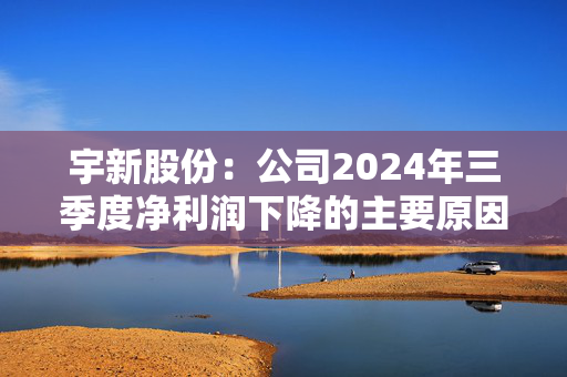 宇新股份：公司2024年三季度净利润下降的主要原因是异辛烷产品征收消费税以及其附加税费的大幅增长