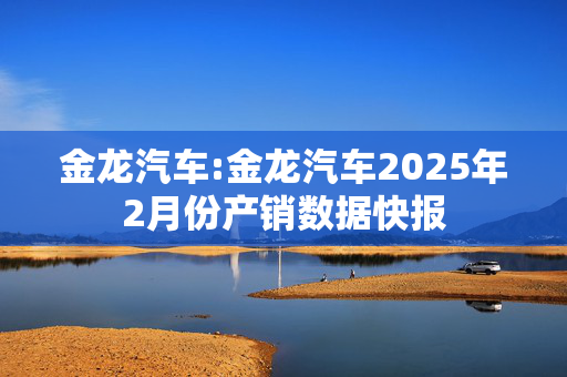 金龙汽车:金龙汽车2025年2月份产销数据快报