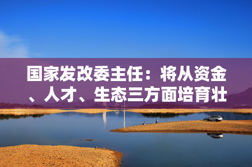 国家发改委主任：将从资金、人才、生态三方面培育壮大新质生产力