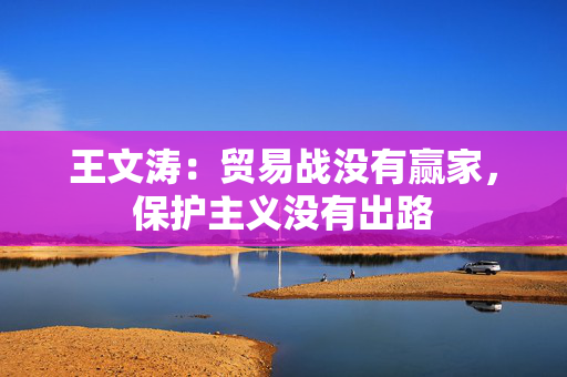 王文涛：贸易战没有赢家，保护主义没有出路