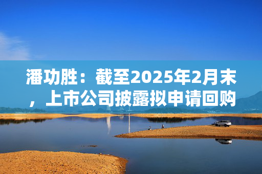 潘功胜：截至2025年2月末，上市公司披露拟申请回购增持贷款金额上限约750亿元